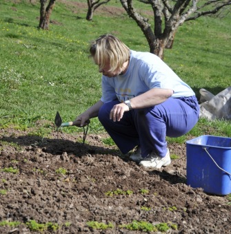 Zahradnictví - aktivizační centrum - jarní práce 2016