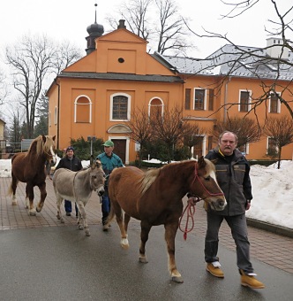 2017 Chov domácích zvířat - zooterapie