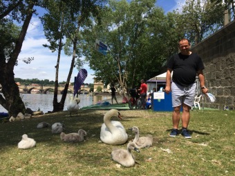 2017 FILMOVÝ FESTIVAL MENTAL POWER - XI. ročník (9.-11.6.)