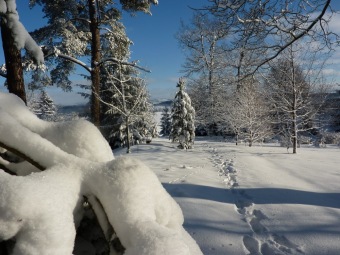 2017 Práce obyvatel v zimním období a krásy zimy