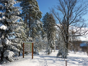 2017 Práce obyvatel v zimním období a krásy zimy
