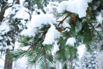 2017 Práce obyvatel v zimním období a krásy zimy
