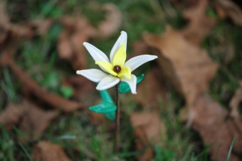 2018 Dílenské výrobky - sklo
