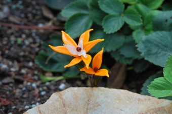 2018 Dílenské výrobky - sklo