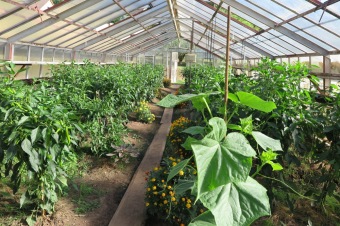 2018 Zahradnictví - moštování ovoce (7.8.)