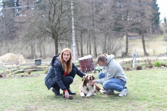 2019 FILMOVÝ FESTIVAL MENTAL POWER - XIII. ročník (7. -8.6.)