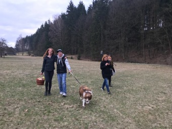 2019 FILMOVÝ FESTIVAL MENTAL POWER - XIII. ročník (7. -8.6.)