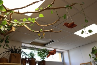 2021 Naše nové Centrum rozvoje dovedností U Šimona je v provozu