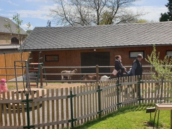 2021 Chov domácích zvířat a zooterapie