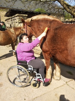 2021 Chov domácích zvířat a zooterapie