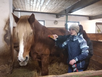 2021 Chov domácích zvířat a zooterapie