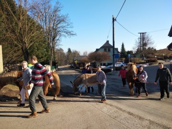 2021 Chov domácích zvířat a zooterapie