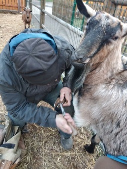 2021 Chov domácích zvířat a zooterapie