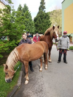 2021 Chov domácích zvířat a zooterapie