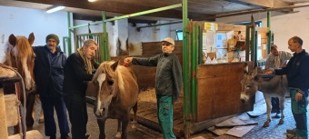 Dne 19.11. 2024 v 18:50 od nás odešla parťačka Sára...