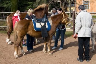 Dne 19.11. 2024 v 18:50 od nás odešla parťačka Sára...