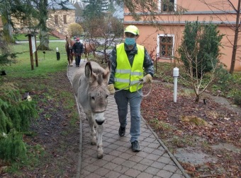2021 Chov domácích zvířat a zooterapie