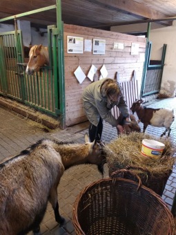 2021 Chov domácích zvířat a zooterapie