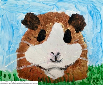 Nikola Sklenář - Morče ze Žampachu