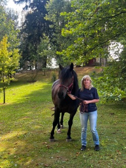 2025 Rebeka - naše nová klisnička si zvyká na nový domov (8.9.)