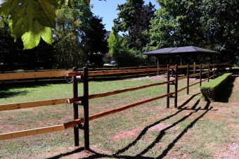 2025 Rebeka - naše nová klisnička si zvyká na nový domov (8.9.)