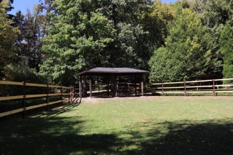 2025 Rebeka - naše nová klisnička si zvyká na nový domov (8.9.)