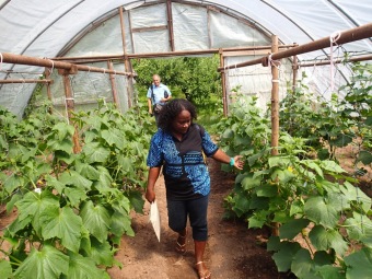 30.6. 2016 Z návštěvy Bineth – učitelky ze Šalamounových ostrovů