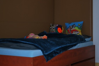 2017 Specializovaná služba pro děti a mladé dospělé - prohlídka (15.11.)