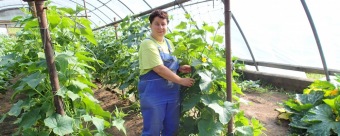 2017 Sociálně terapeutické dílny (STD) - z nabídky činností služby