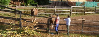2017 Sociálně terapeutické dílny (STD) - z nabídky činností služby