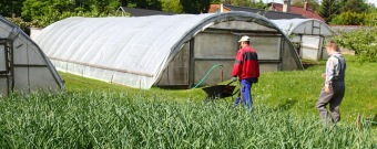 2017 Sociálně terapeutické dílny (STD) - z nabídky činností služby