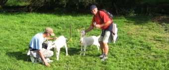 2017 Sociálně terapeutické dílny (STD) - z nabídky činností služby