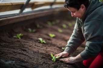 Tomáš Kubelka www.carokraj, 2019 Informační brožura Pardubického kraje k transformaci - fotografie