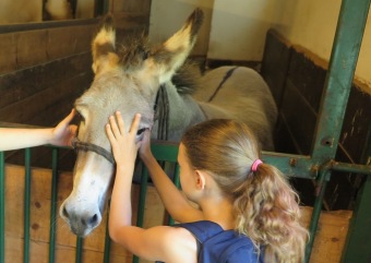 2019 Návštěva žáků 5. ročníků ZŠ 28. října Žamberk (25.6.)