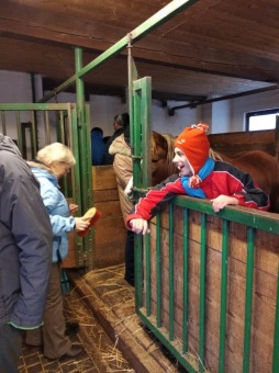 2019 Specializovaná služba (SSDD) - aktivity - zooterapie (20.1.)