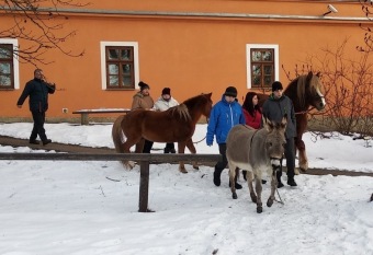 2019 Specializovaná služba (SSDD) - aktivity - zooterapie (20.1.)