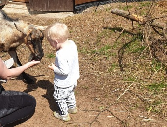 2021 Český dvorek otevřen i pro rodinné návštěvy (1.6. 2021)