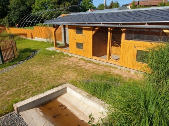 Dvoreček je připraven pro nová zvířátka a rozšíření ZOO terapie uživatelů našich služeb.