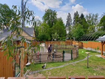 2020 Český dvorek - dokončení - vybavení pro chov...