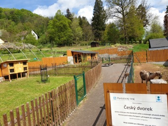 2020 Český dvorek - dokončení - vybavení pro chov...