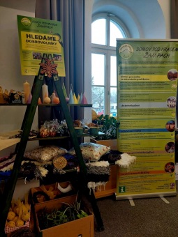 2023 Adventní výstava - Krajský úřad Pardubice (29.11.)