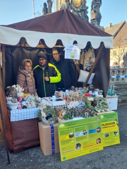 2024 Jarmark a rozsvěcení stromečku Letohrad (1.12.)