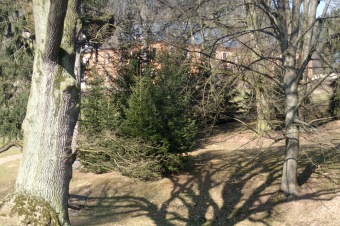 Příchod jara do Arboreta Žampach - dolní park - 18.3.2015