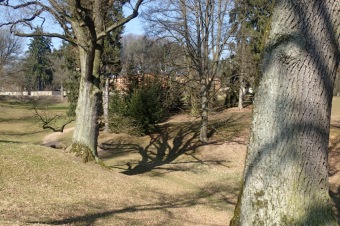 Příchod jara do Arboreta Žampach - dolní park - 18.3.2015