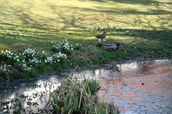 Příchod jara do Arboreta Žampach - dolní park - 18.3.2015