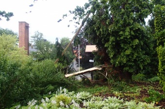 Škody v Arboretu Žampach po noční bouři dne 8.7.2015