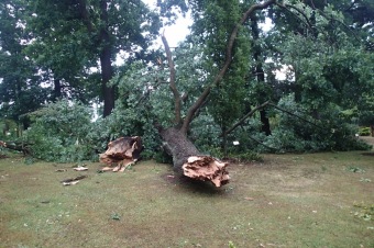 Škody v Arboretu Žampach po noční bouři dne 8.7.2015
