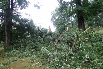 Škody v Arboretu Žampach po noční bouři dne 8.7.2015