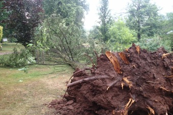 Škody v Arboretu Žampach po noční bouři dne 8.7.2015