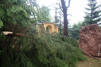 Škody v Arboretu Žampach po noční bouři dne 8.7.2015